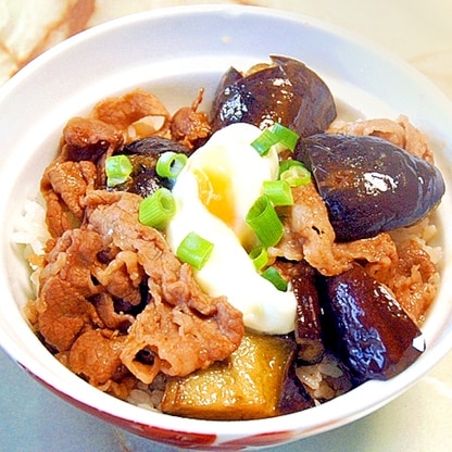 レンジで完結！の切り落とし肉とナスのスタミナ丼